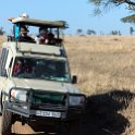 TZA MAR SerengetiNP 2016DEC24 LemalaEwanjan 038 : 2016, 2016 - African Adventures, Africa, Date, December, Eastern, Lemala Ewanjan Camp, Mara, Month, Places, Serengeti National Park, Tanzania, Trips, Year